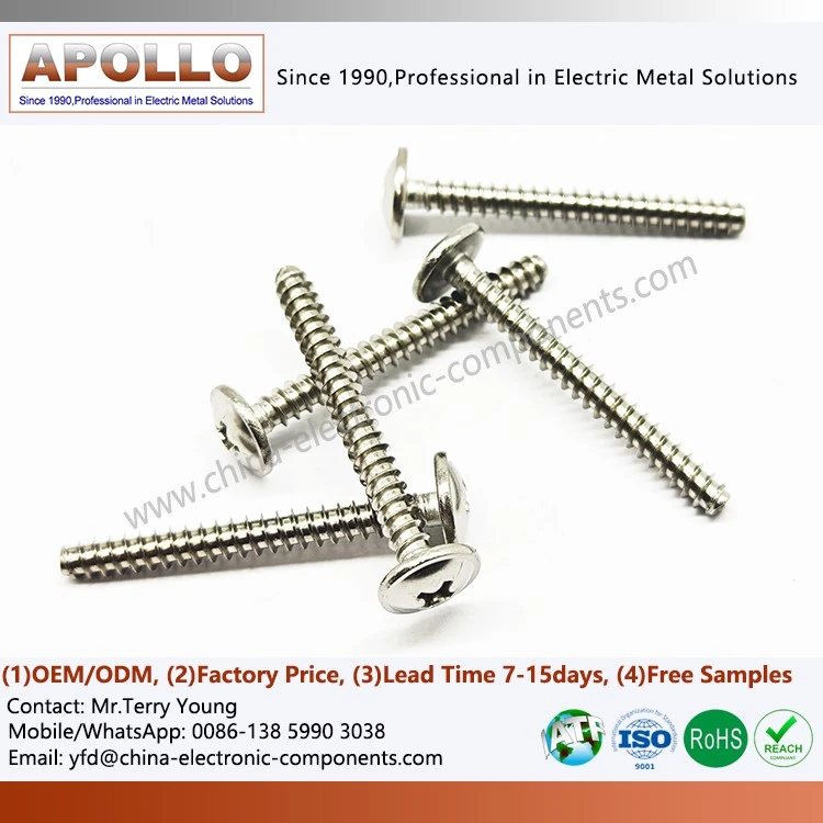 Stainless Steel Screw Stainless Steel Screw