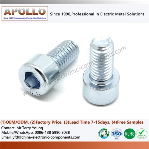 Plat-tèt Egzagòn Socket Nerjaveèi Vis: Tretman Sifas Enpak sou Thread Fit